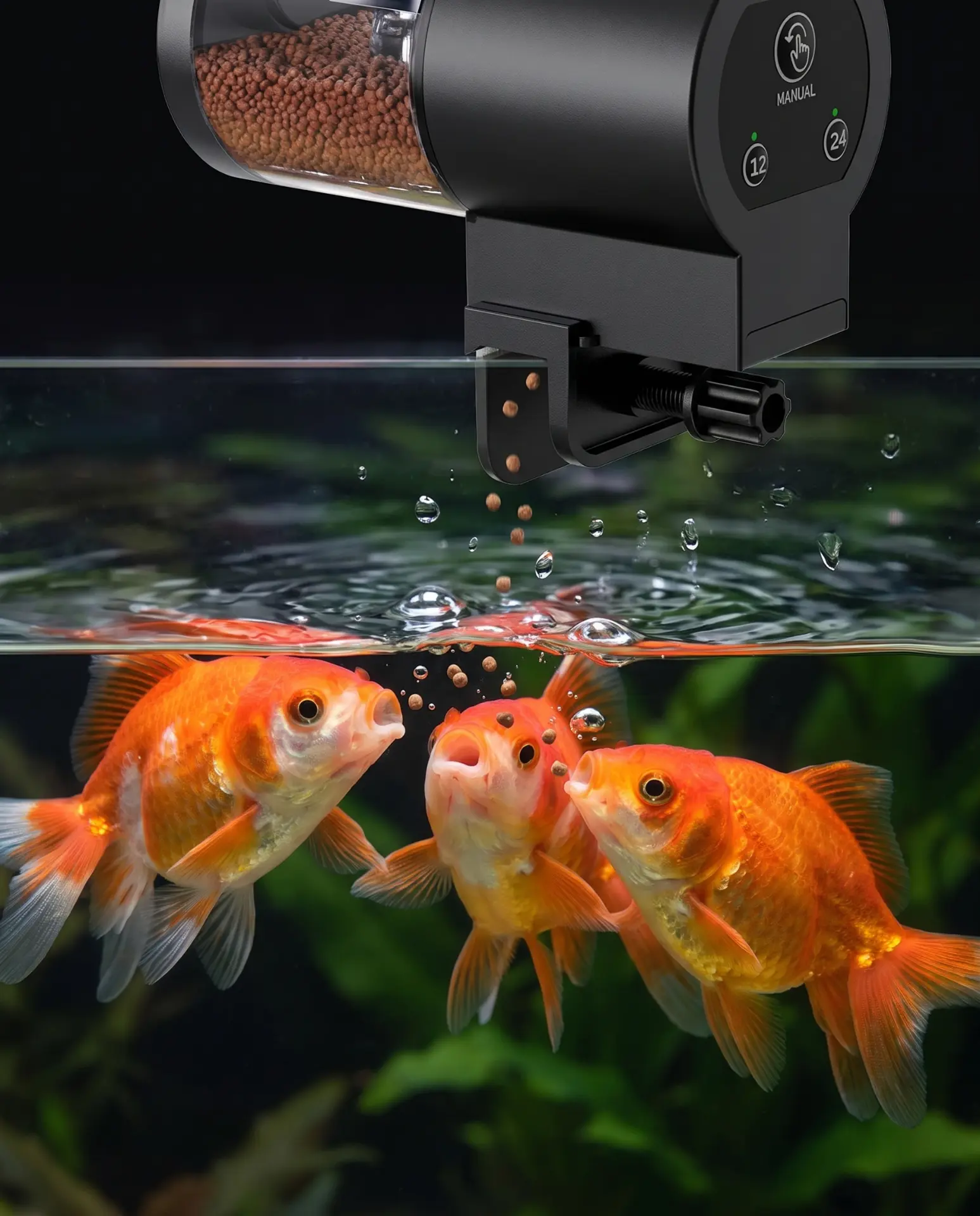 Happy fish feeding